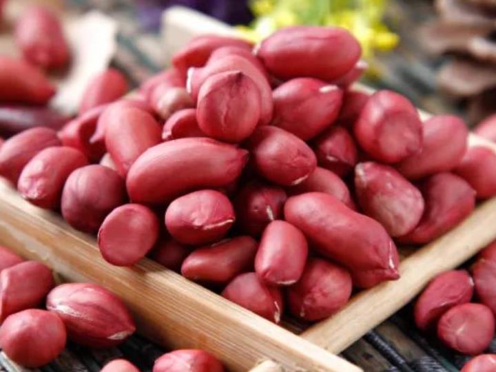 Groundnut