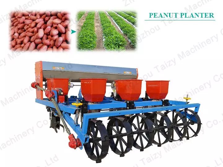 Groundnut Planter | Peanut Seeds Planting Machine