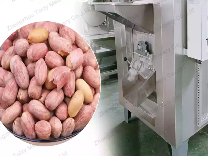 How to Choose The Perfect Peanut Roaster Machine?