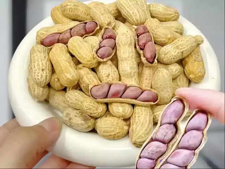 How To Choose The Perfect Peanut Roaster Machine? 1 فول سوداني محمص