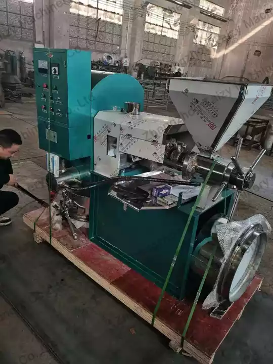 Proporcionando máquina de prensa de aceite de cacahuete con tornillo a Canadá 2 Prensa de aceite de maní