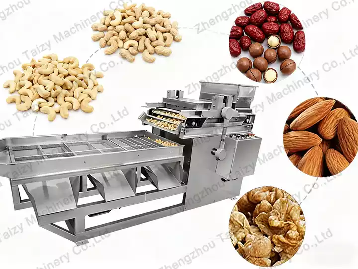 Equipamento Comercial de Corte de Nozes