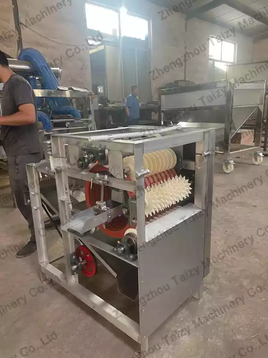 Nut Skin Removing Machine