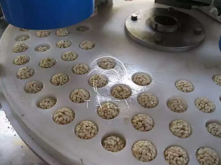 Rice Candy Ball Making Machine