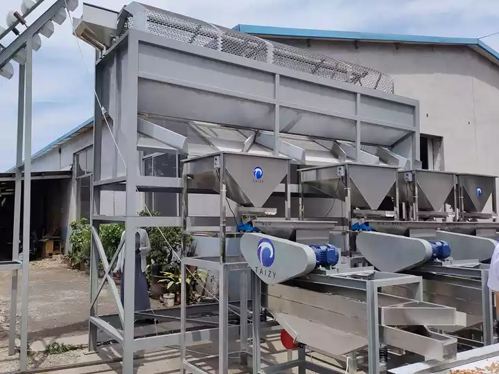 Ligne de production d’émondage d’amandes