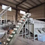 almond hulling production line