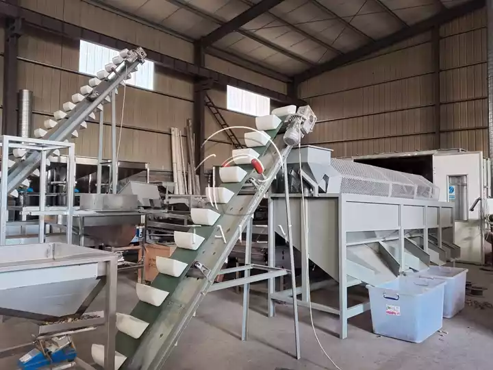 Almond Shelling Processing Line | 2–3 T/H Hazelnut Badam Cracking Unit 7 Almond Hulling Production Line