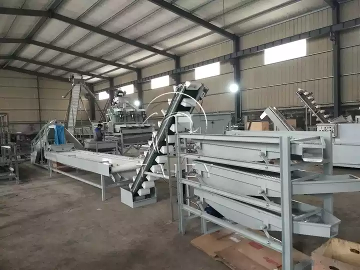 Almond Shelling Processing Line | 2–3 T/H Hazelnut Badam Cracking Unit 8 Almond Nut Shelling Unit