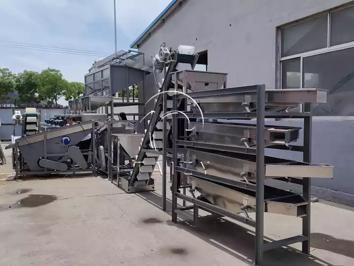 Almond Shelling Processing Line | 2–3 T/H Hazelnut Badam Cracking Unit 6 Almond Shelling Processing Line