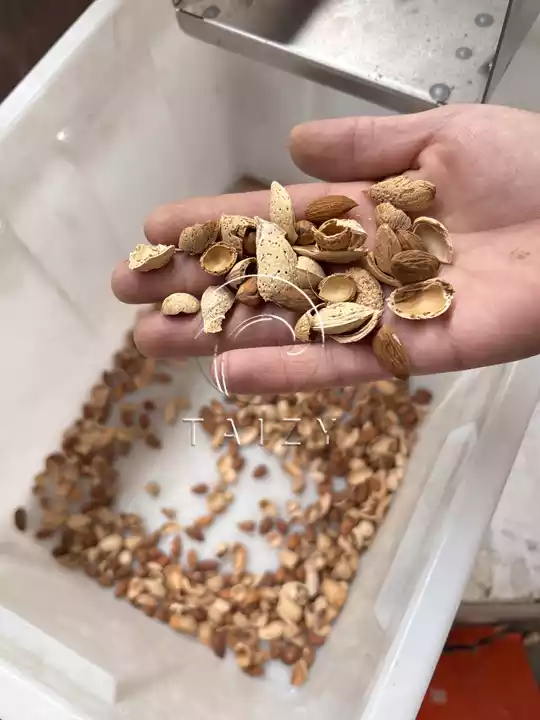 Why Multifunctional Almond Shelling Line Suits Various Hard Shell Nuts? 3 Demonstration Of Almond Shelling