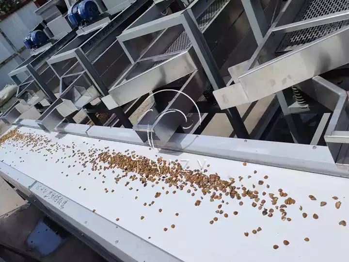 Why Multifunctional Almond Shelling Line Suits Various Hard Shell Nuts? 2 Hard Nut Cracking Machine