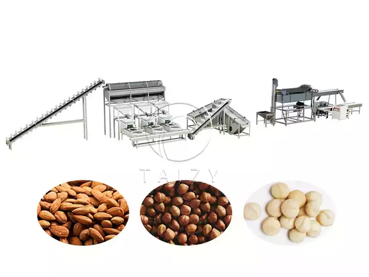 Almond Shelling Processing Line | 2–3 T/H Hazelnut Badam Cracking Unit 2 Hazelnut Almond Shelling Unit