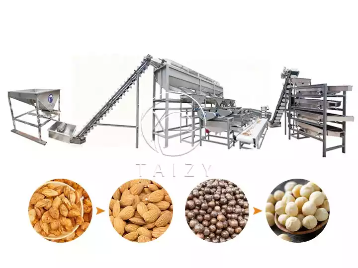 Industrial Almond Shelling Line For Various Nuts