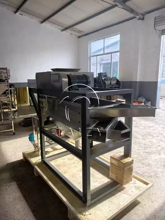 Custom Peanut Roasting Processing Line Exported To Australia 2 Peanut Dicing And Screening Machine