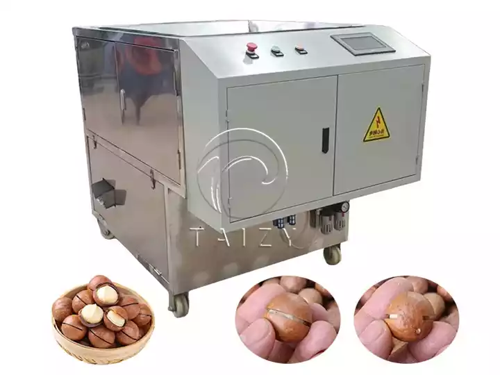 Commercial Macadamia Nut Slitting Machine