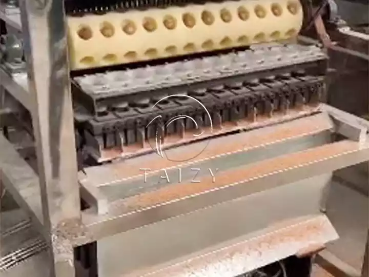 How Macadamia Nut Slitting Machine Reduces Kernel Breakage Rate? 1 Internal Feeding And Cutting Structure