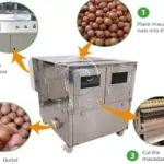 macadamia nut opening machine working flow diagram