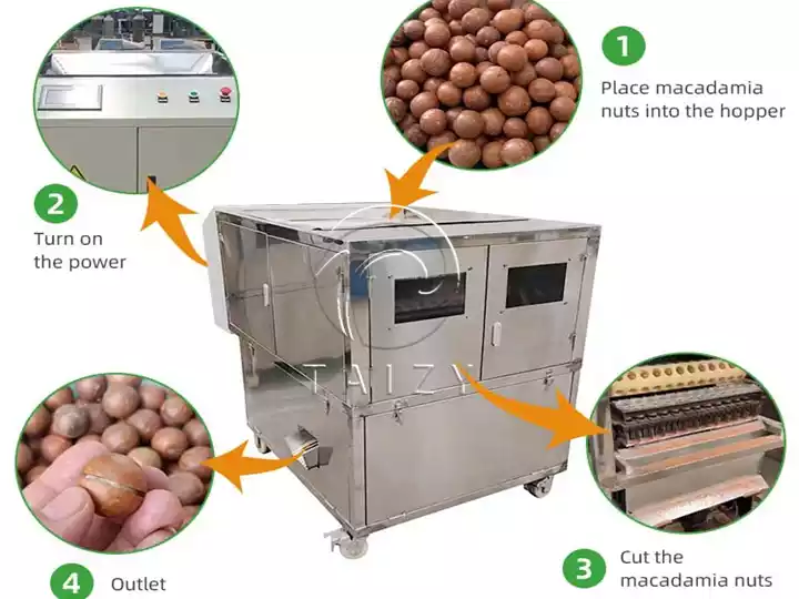 Macadamia Nut Opening Machine 3 Macadamia Nut Opening Machine Working Flow Diagram
